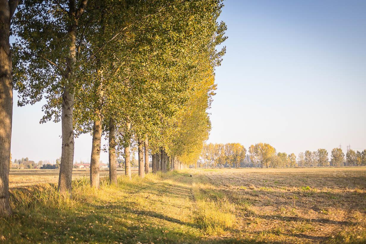 Cascina Gaggioli Βίλα Μιλάνο Εξωτερικό φωτογραφία